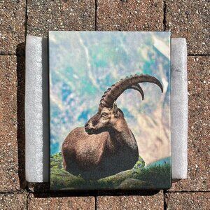 Custom art print of goat